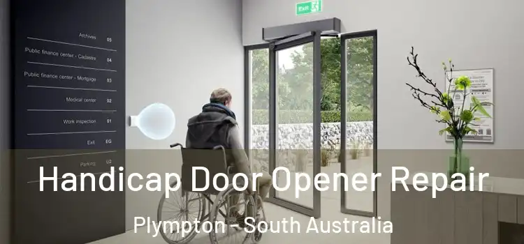 Handicap Door Opener Repair Plympton - South Australia