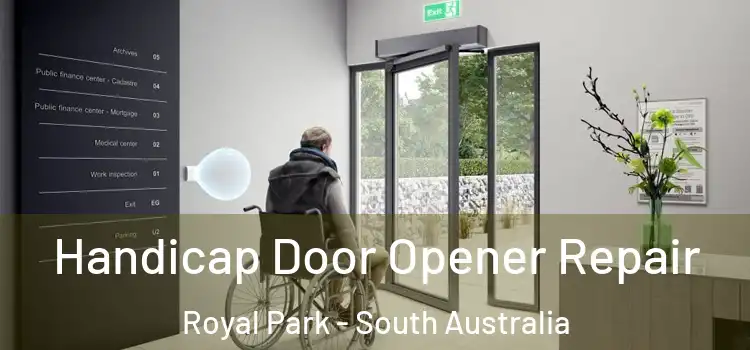 Handicap Door Opener Repair Royal Park - South Australia