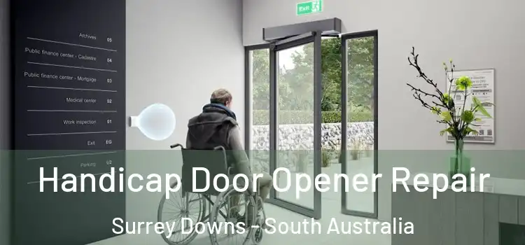 Handicap Door Opener Repair Surrey Downs - South Australia
