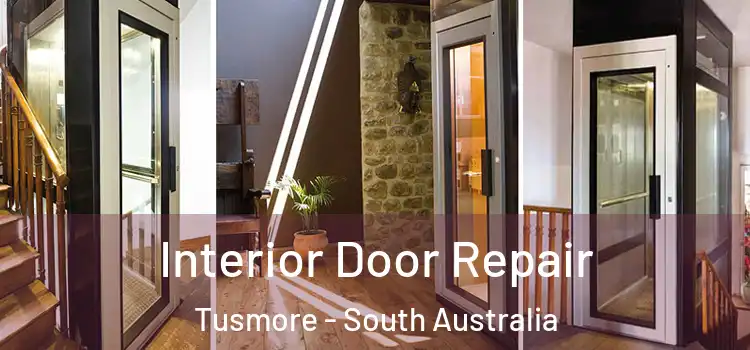 Interior Door Repair Tusmore - South Australia