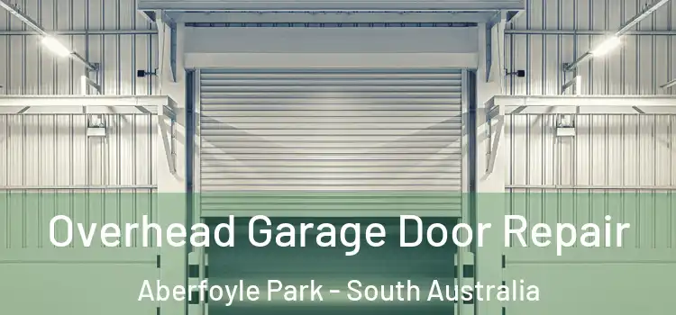 Overhead Garage Door Repair Aberfoyle Park - South Australia