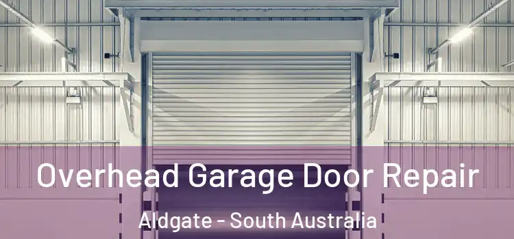 Overhead Garage Door Repair Aldgate - South Australia