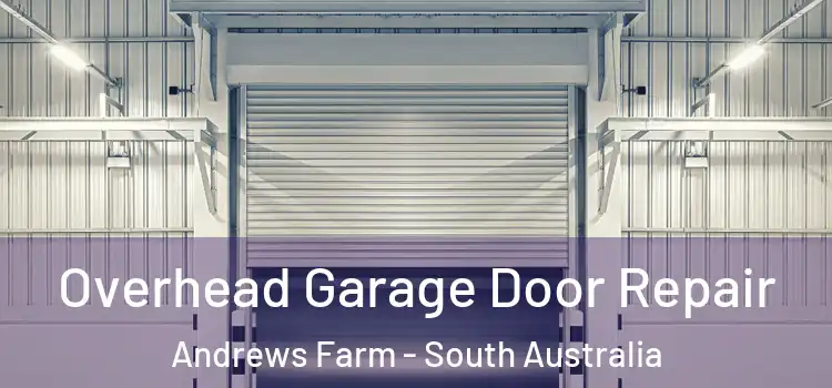 Overhead Garage Door Repair Andrews Farm - South Australia