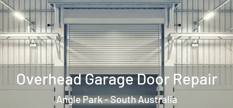 Overhead Garage Door Repair Angle Park - South Australia