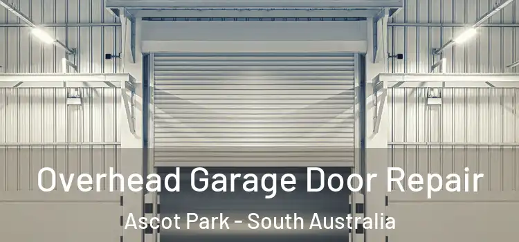 Overhead Garage Door Repair Ascot Park - South Australia
