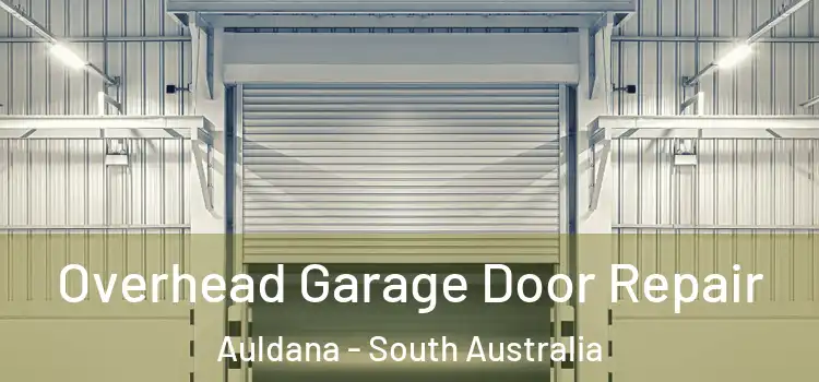 Overhead Garage Door Repair Auldana - South Australia