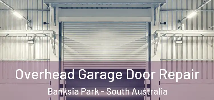 Overhead Garage Door Repair Banksia Park - South Australia