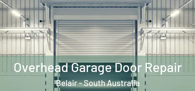 Overhead Garage Door Repair Belair - South Australia