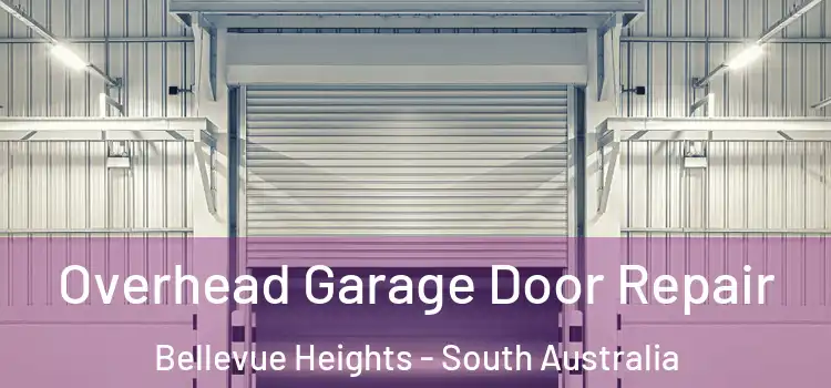 Overhead Garage Door Repair Bellevue Heights - South Australia