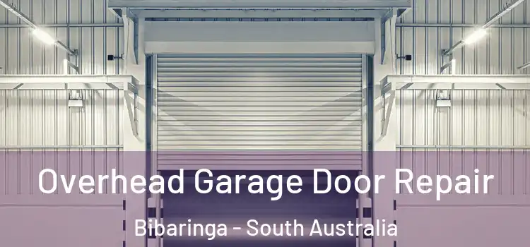 Overhead Garage Door Repair Bibaringa - South Australia