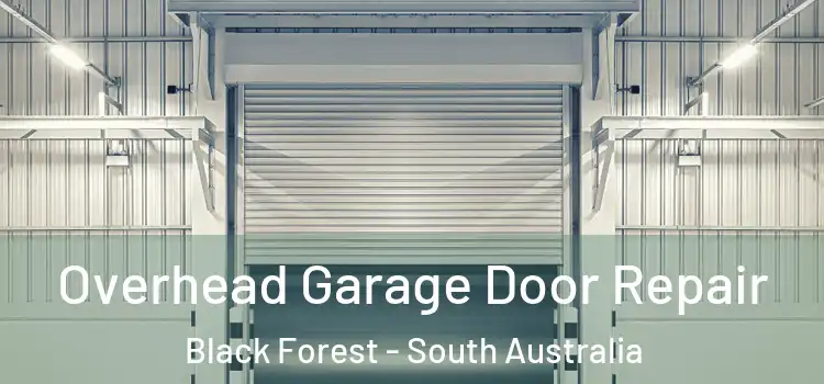 Overhead Garage Door Repair Black Forest - South Australia