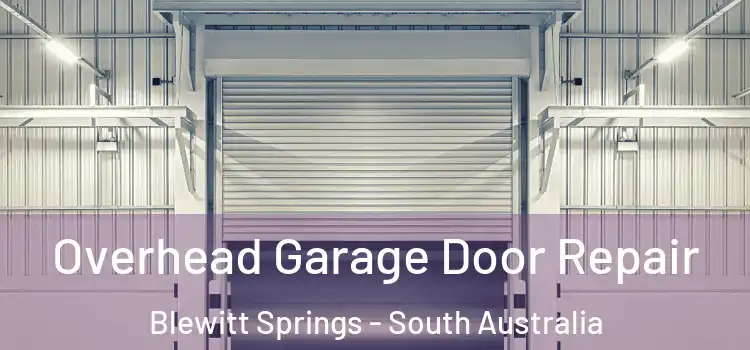 Overhead Garage Door Repair Blewitt Springs - South Australia