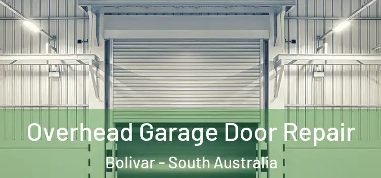 Overhead Garage Door Repair Bolivar - South Australia