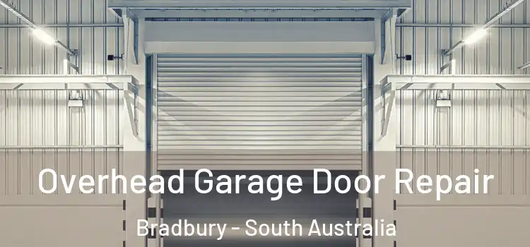 Overhead Garage Door Repair Bradbury - South Australia