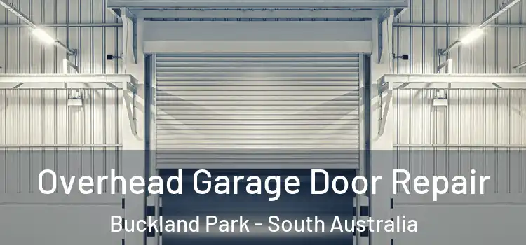 Overhead Garage Door Repair Buckland Park - South Australia
