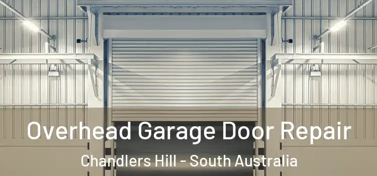 Overhead Garage Door Repair Chandlers Hill - South Australia