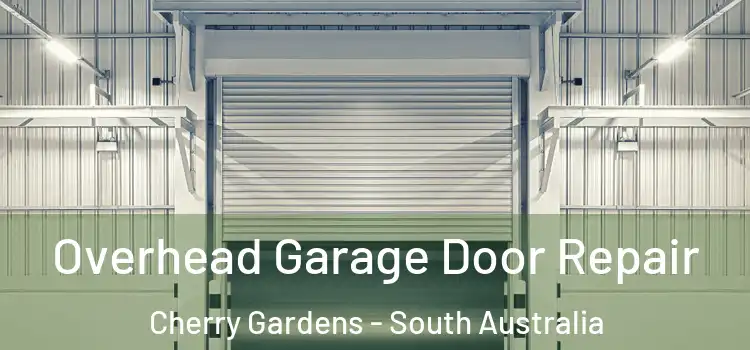 Overhead Garage Door Repair Cherry Gardens - South Australia