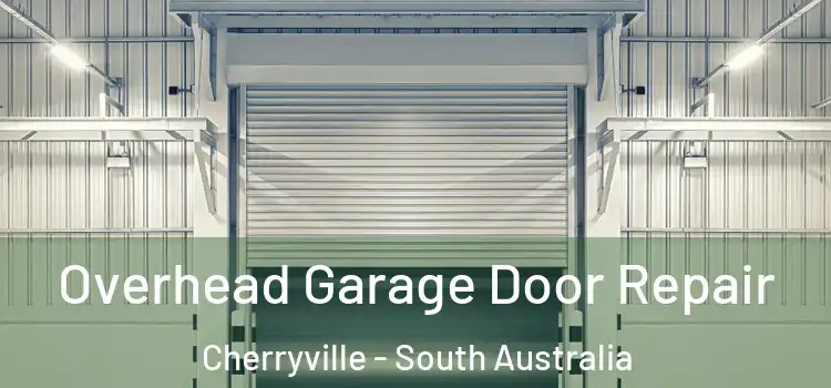 Overhead Garage Door Repair Cherryville - South Australia