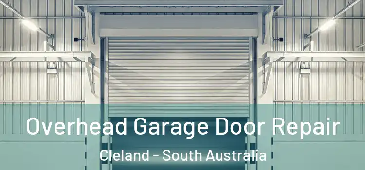 Overhead Garage Door Repair Cleland - South Australia