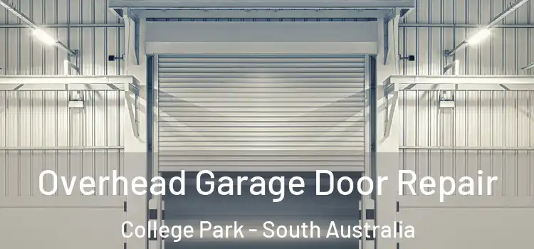 Overhead Garage Door Repair College Park - South Australia