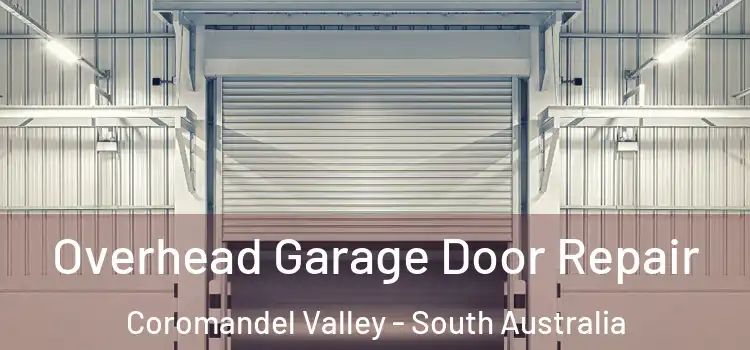 Overhead Garage Door Repair Coromandel Valley - South Australia