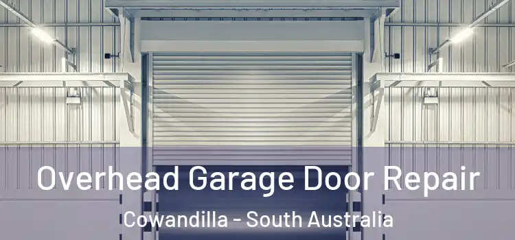Overhead Garage Door Repair Cowandilla - South Australia