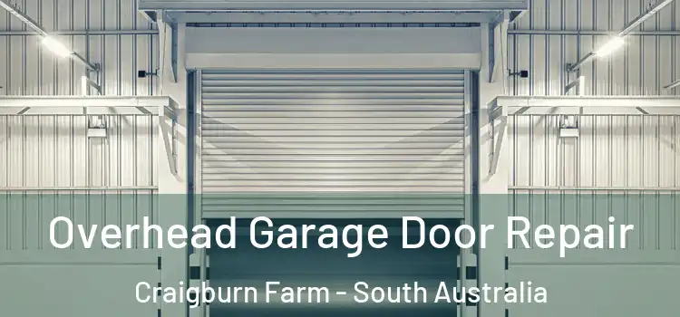 Overhead Garage Door Repair Craigburn Farm - South Australia
