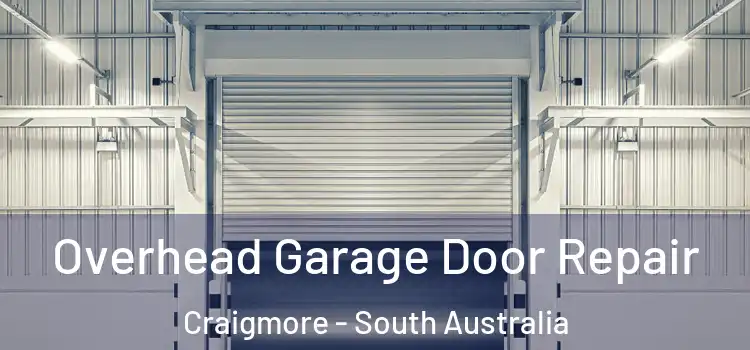 Overhead Garage Door Repair Craigmore - South Australia