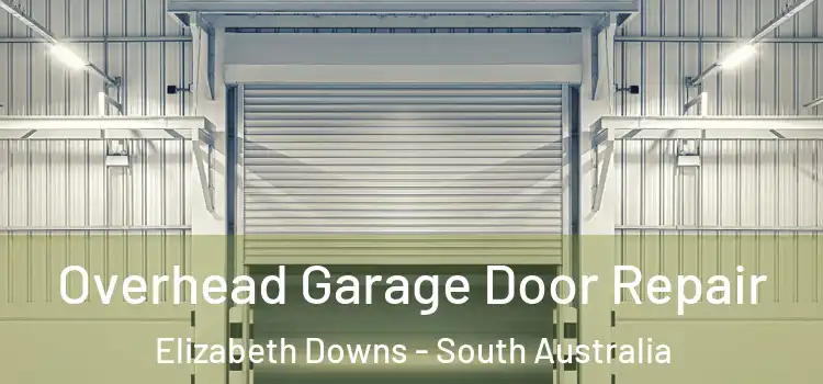 Overhead Garage Door Repair Elizabeth Downs - South Australia