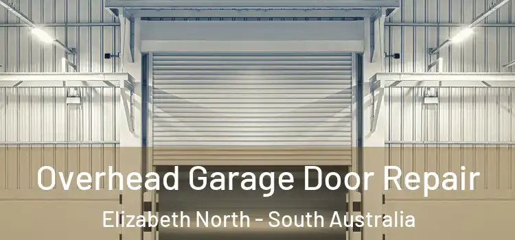 Overhead Garage Door Repair Elizabeth North - South Australia