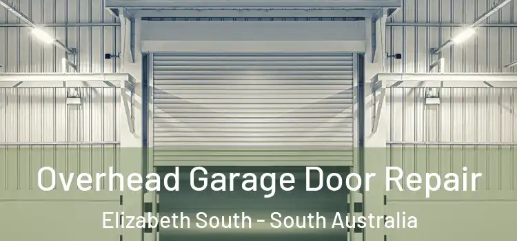 Overhead Garage Door Repair Elizabeth South - South Australia