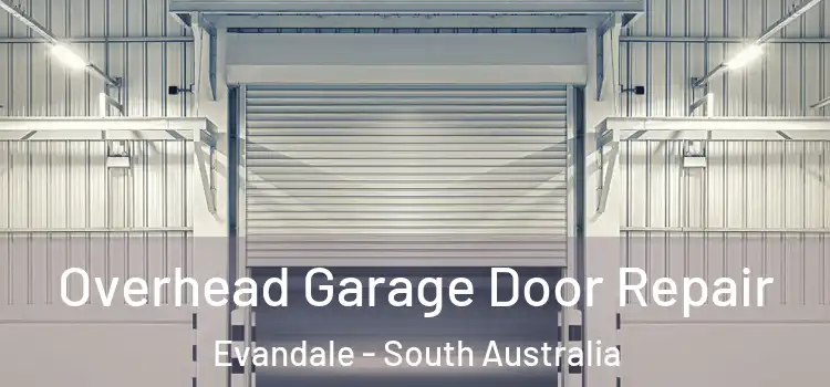 Overhead Garage Door Repair Evandale - South Australia