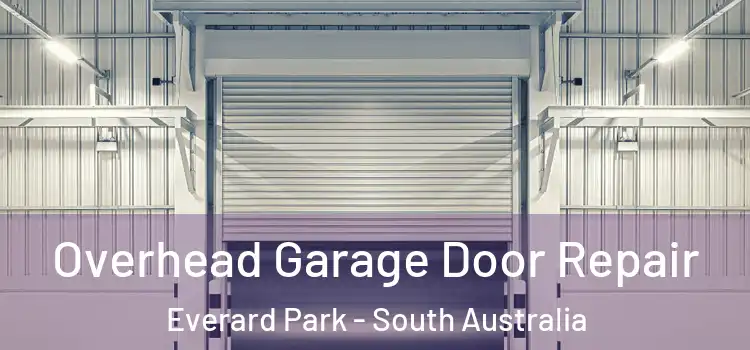Overhead Garage Door Repair Everard Park - South Australia