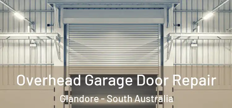 Overhead Garage Door Repair Glandore - South Australia