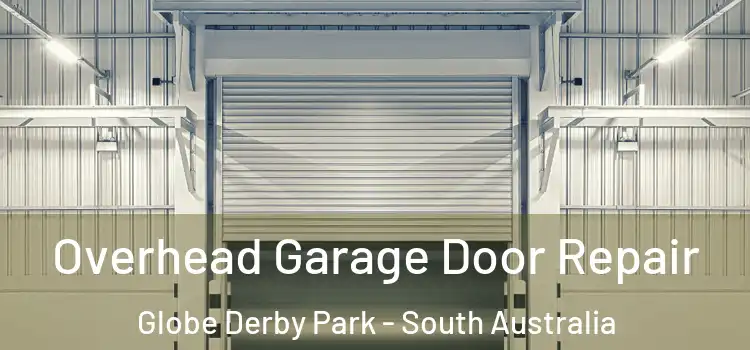 Overhead Garage Door Repair Globe Derby Park - South Australia