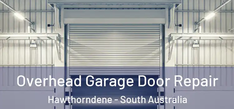 Overhead Garage Door Repair Hawthorndene - South Australia