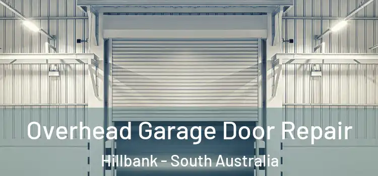 Overhead Garage Door Repair Hillbank - South Australia