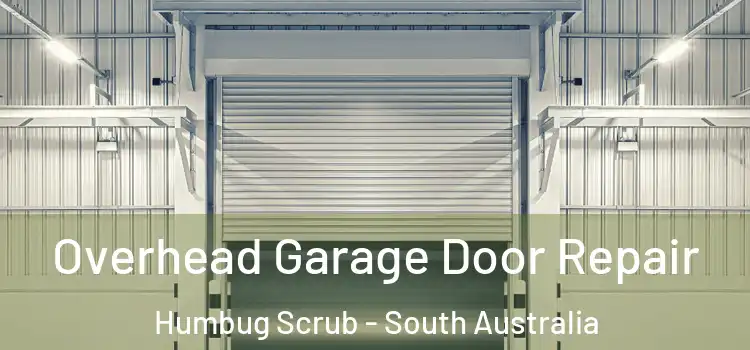 Overhead Garage Door Repair Humbug Scrub - South Australia