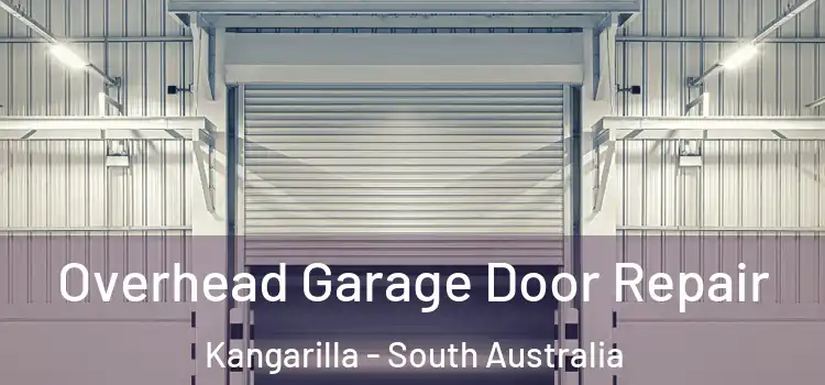 Overhead Garage Door Repair Kangarilla - South Australia