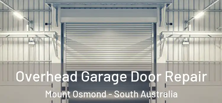 Overhead Garage Door Repair Mount Osmond - South Australia