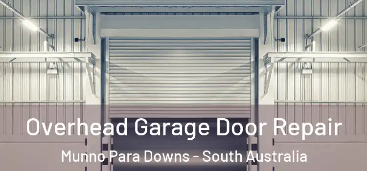 Overhead Garage Door Repair Munno Para Downs - South Australia