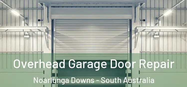 Overhead Garage Door Repair Noarlunga Downs - South Australia