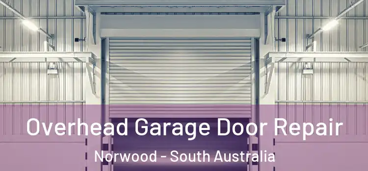 Overhead Garage Door Repair Norwood - South Australia