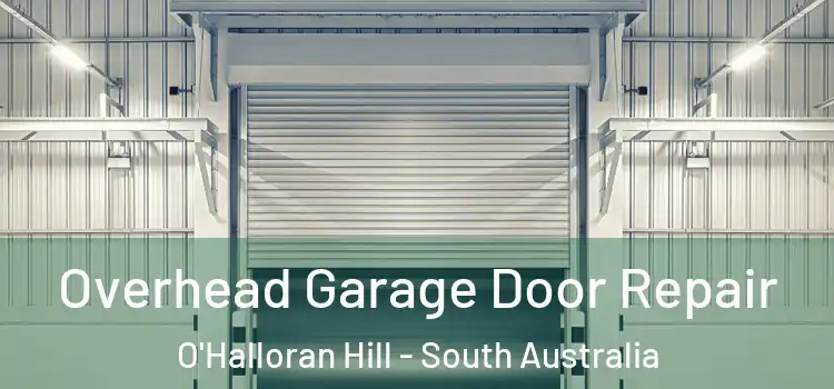 Overhead Garage Door Repair O'Halloran Hill - South Australia