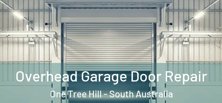 Overhead Garage Door Repair One Tree Hill - South Australia
