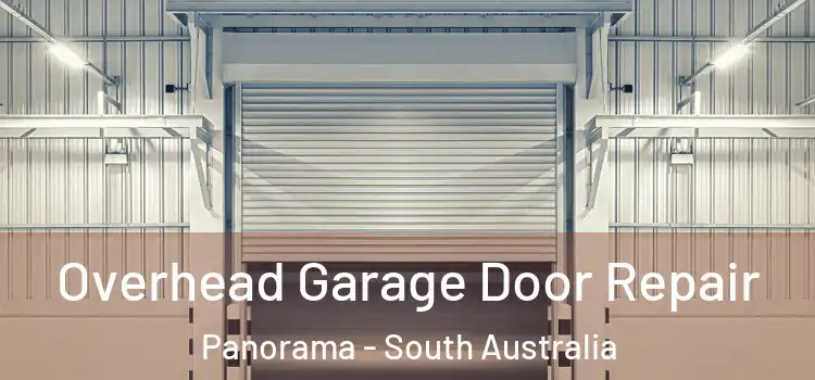 Overhead Garage Door Repair Panorama - South Australia