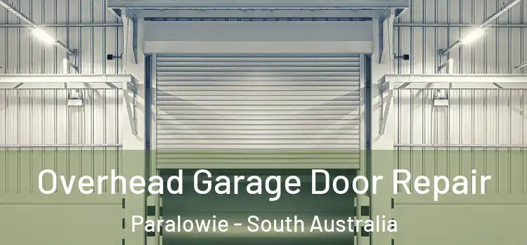 Overhead Garage Door Repair Paralowie - South Australia