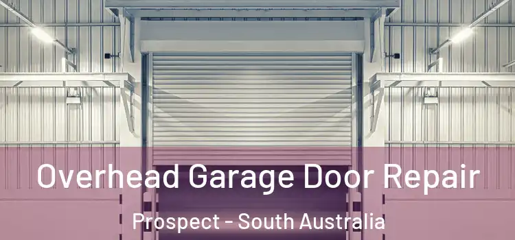 Overhead Garage Door Repair Prospect - South Australia