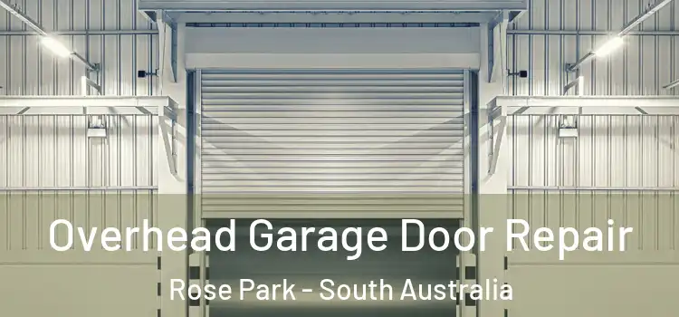 Overhead Garage Door Repair Rose Park - South Australia