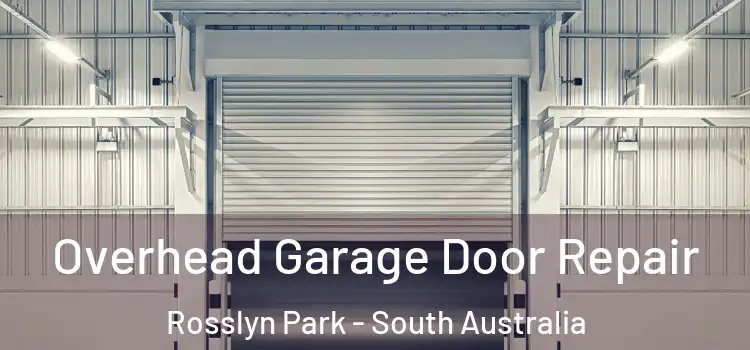 Overhead Garage Door Repair Rosslyn Park - South Australia